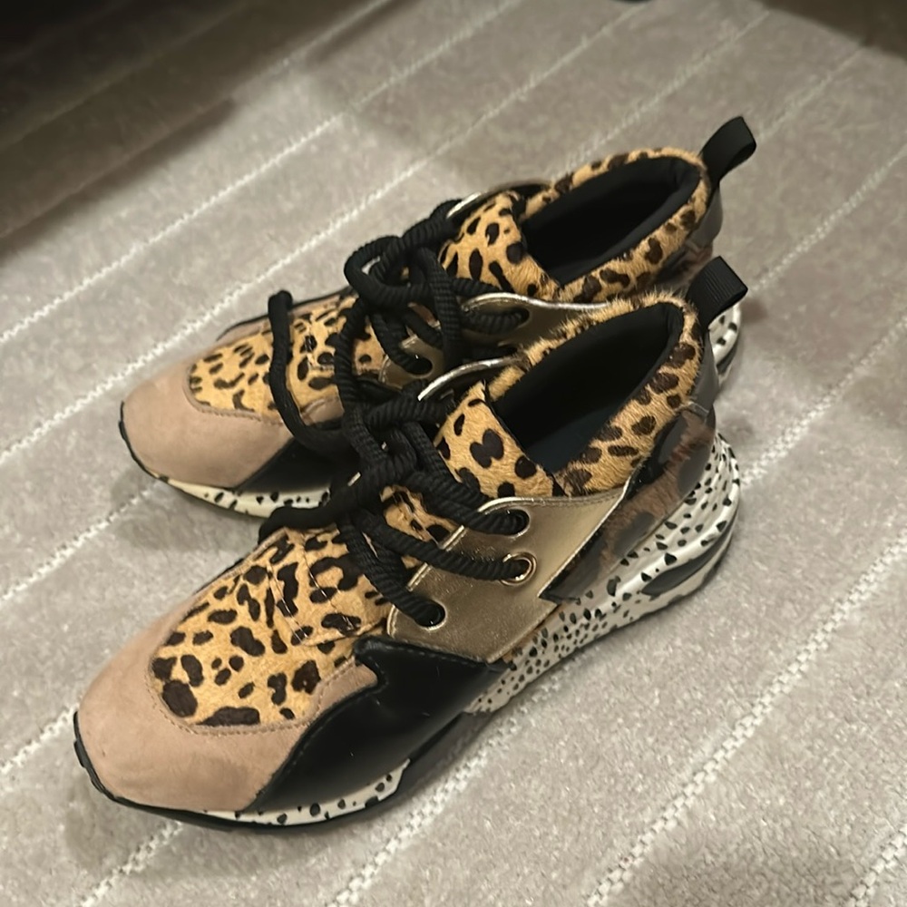 Steve Madden Sneakers